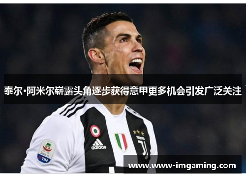 泰尔·阿米尔崭露头角逐步获得意甲更多机会引发广泛关注
