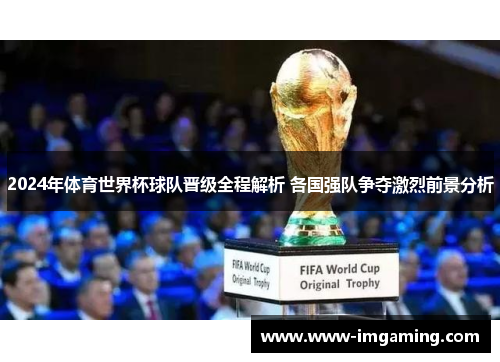 2024年体育世界杯球队晋级全程解析 各国强队争夺激烈前景分析