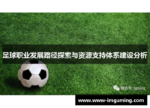 足球职业发展路径探索与资源支持体系建设分析