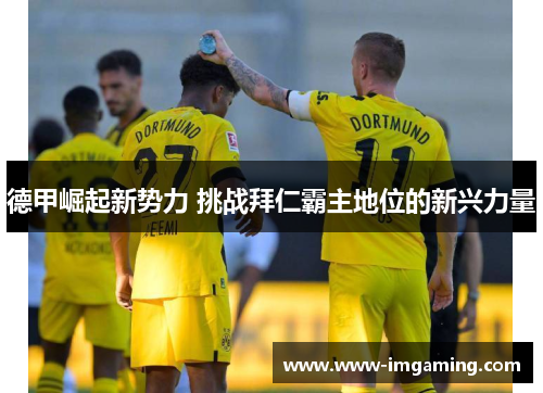 德甲崛起新势力 挑战拜仁霸主地位的新兴力量