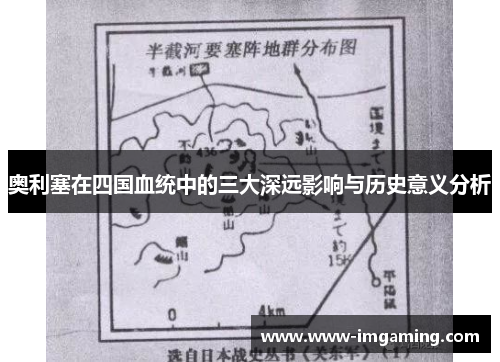 奥利塞在四国血统中的三大深远影响与历史意义分析