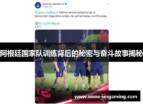 阿根廷国家队训练背后的秘密与奋斗故事揭秘
