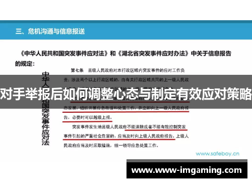 对手举报后如何调整心态与制定有效应对策略