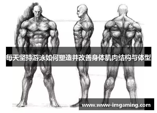 每天坚持游泳如何塑造并改善身体肌肉结构与体型