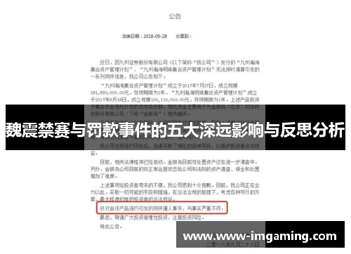 魏震禁赛与罚款事件的五大深远影响与反思分析