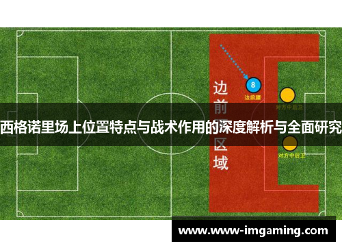 西格诺里场上位置特点与战术作用的深度解析与全面研究