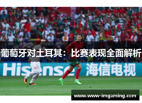 葡萄牙对土耳其:比赛表现全面解析